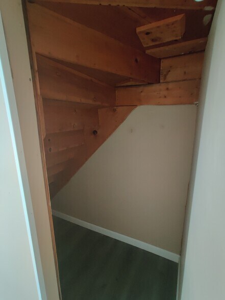 Spare Room Closet (pic #2) - 33 Rose St