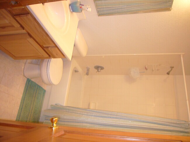 Building Photo - Beautiful Bailey 3 Bedroom, 2 Bath Home