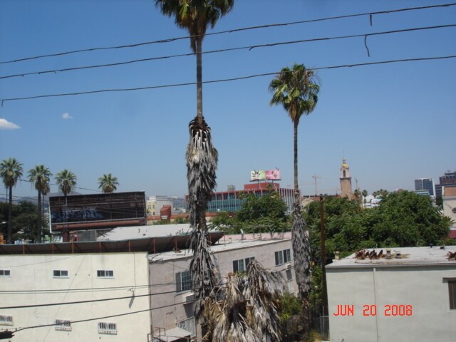 Building Photo - 1460 N Mansfield Ave
