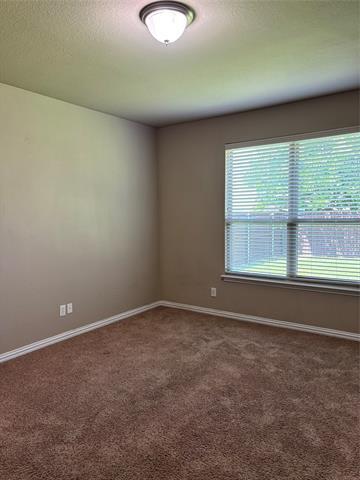 Building Photo - 3332 Canyon Lake Dr