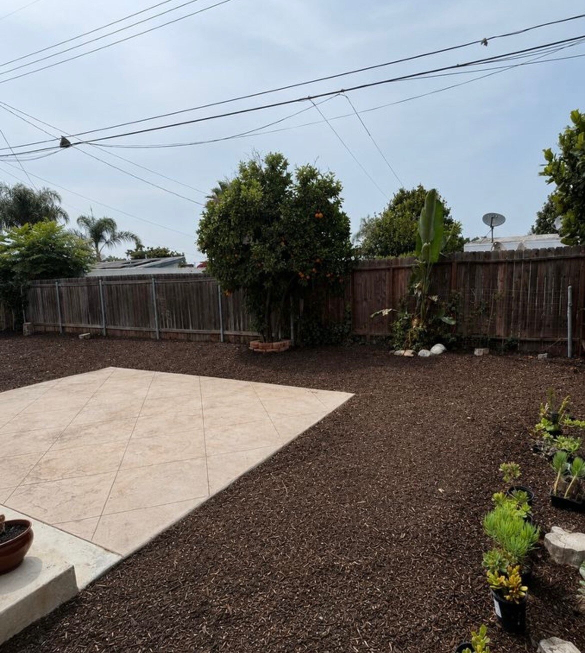 Backyard with Patio - 15521 Fernview St