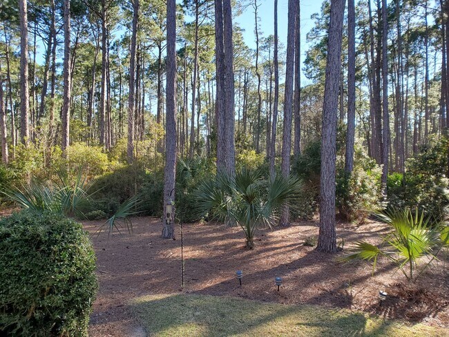 Building Photo - 6 Club Course Ln