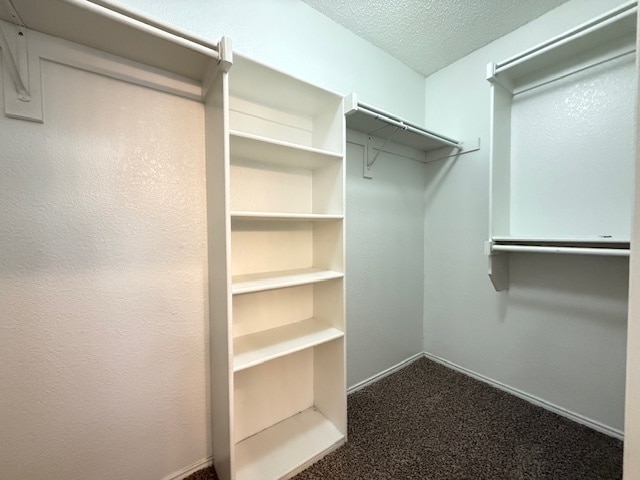 Building Photo - 4 bedroom 2 bath home available for the New Year