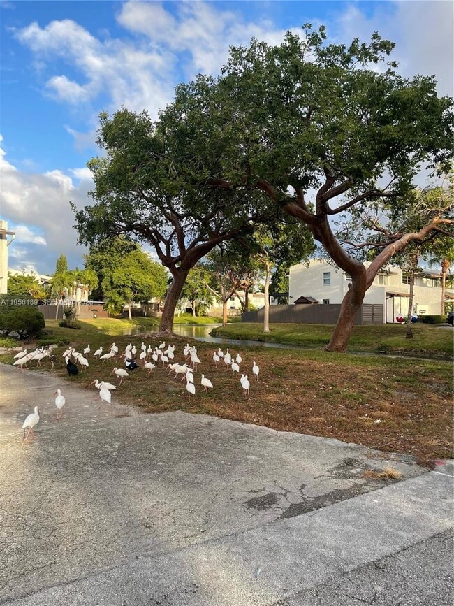 Building Photo - 11342 SW 70th Terrace