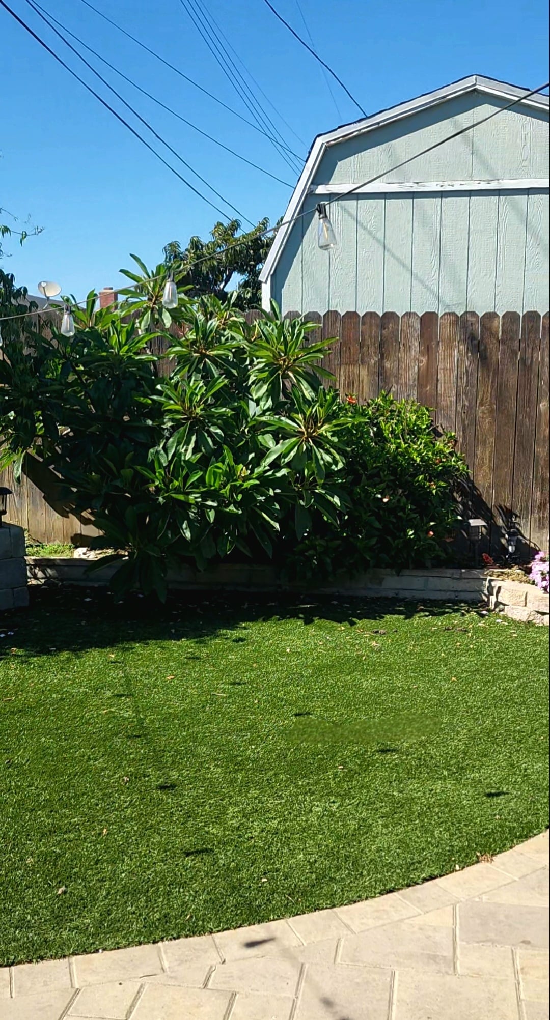 Backyard - 1393 Coventry Ave