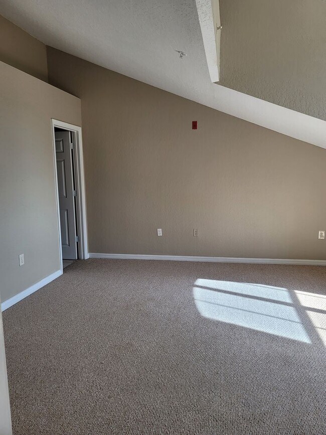 Building Photo - Large Sunridge Palms townhome across from USF!