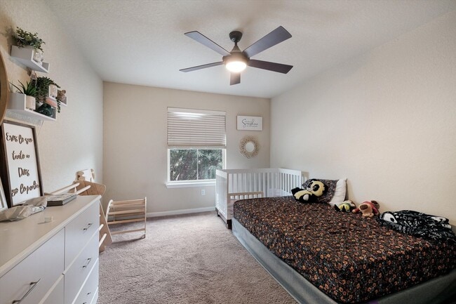 Building Photo - Modern Living Meets Community Charm in This Cibolo Gem