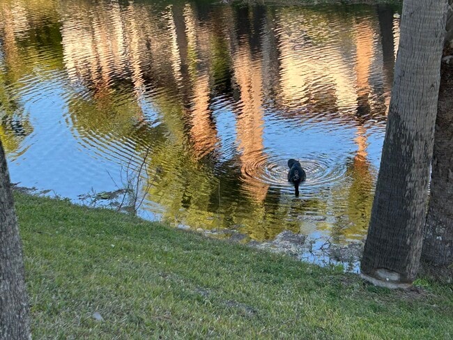 Building Photo - 19505 Quesada Ave