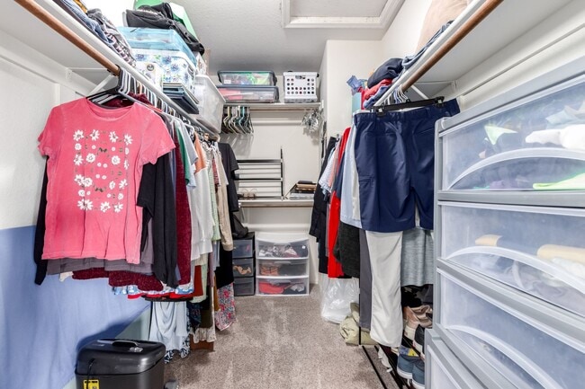 Building Photo - The Search is Over! 3-Bedroom, 2.5 baths with Refreshing Fenced Play Pool!