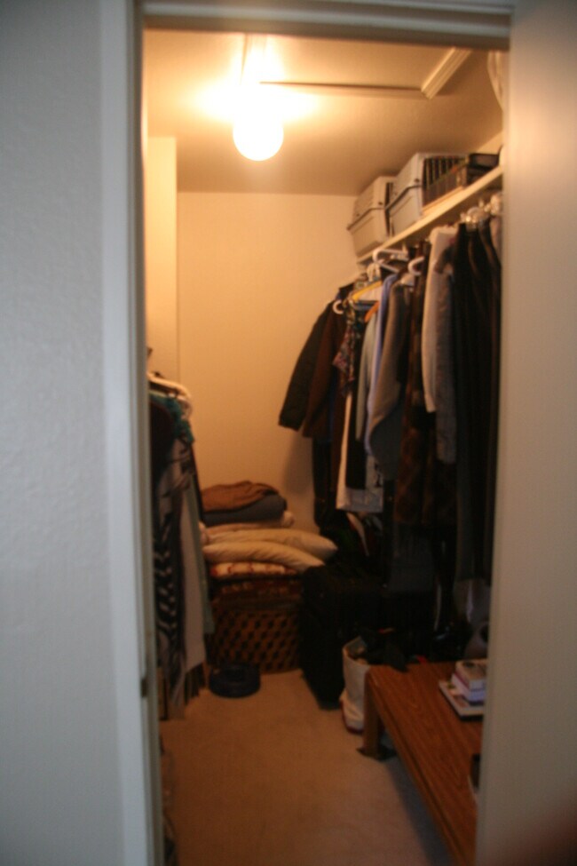 Walk-in Closet (D203) - 8555 Fairmount Dr