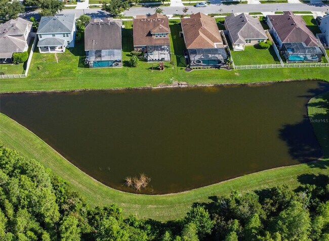Building Photo - 21529 Southern Charm Dr