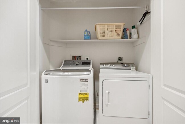 Building Photo - 7440 Old Maple Square