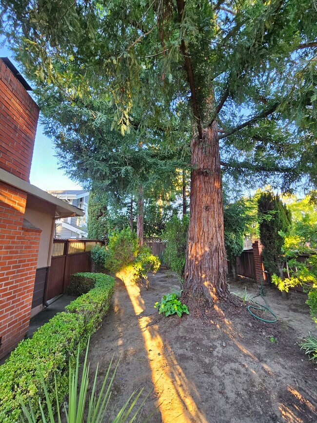 Building Photo - 3107 Alameda de las Pulgas