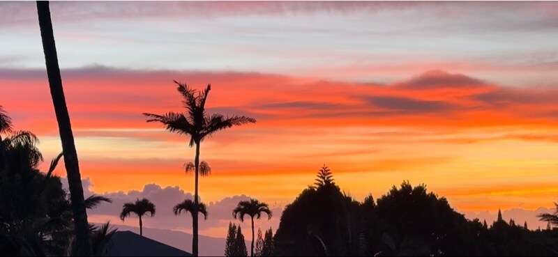 Building Photo - 93 Ulumalu Rd