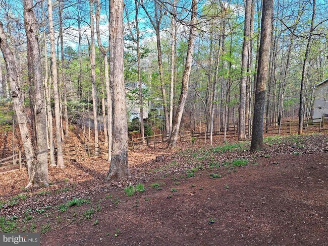 Building Photo - 12 Albano Ct