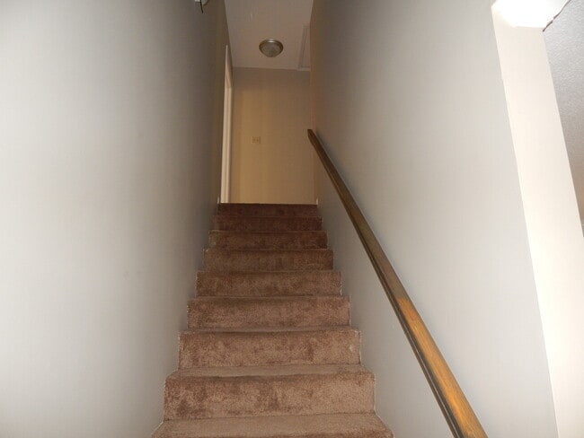 Building Photo - 2846 Willow Wood Cir