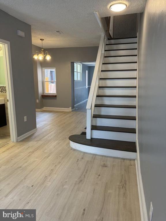 Building Photo - 524 Federal St