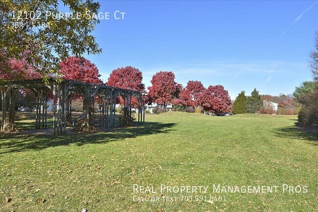 Building Photo - 12102 Purple Sage Ct