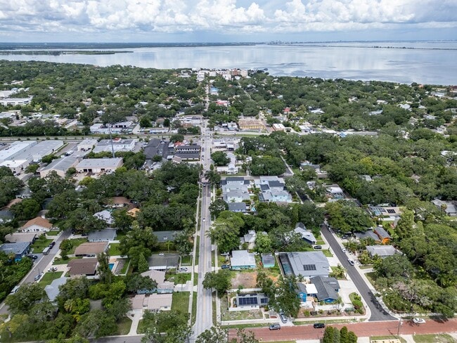 Building Photo - Charming 3BD/2BTH Home with Private Backyard in the Heart of Safety Harbor