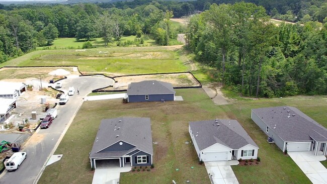 Building Photo - McCalla Trace Newly Constructed 4 BR/ 2 Ba...