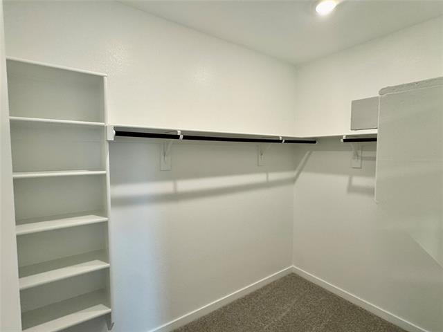 Building Photo - 1720 Rubber Fig Ln