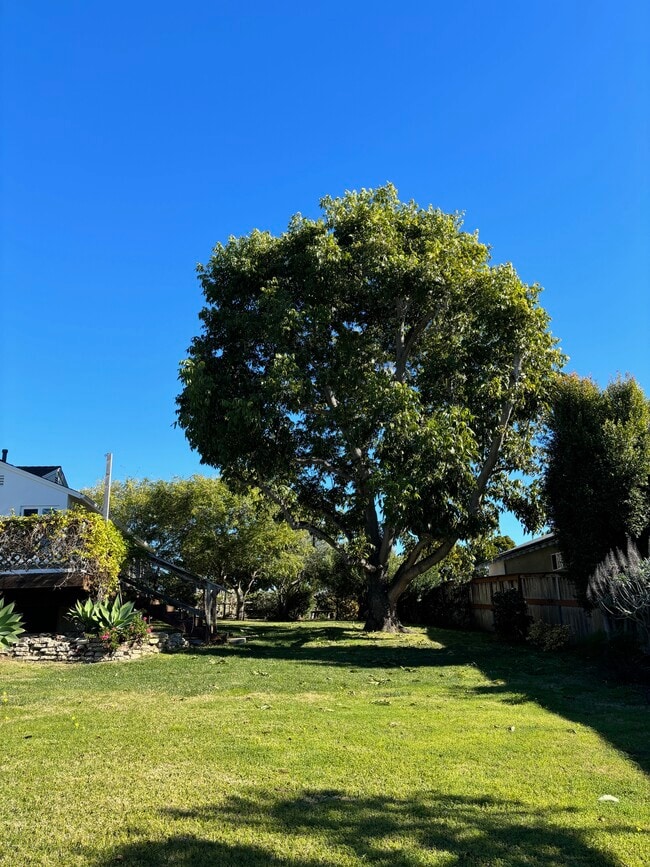 Building Photo - 1090 Devonshire Dr