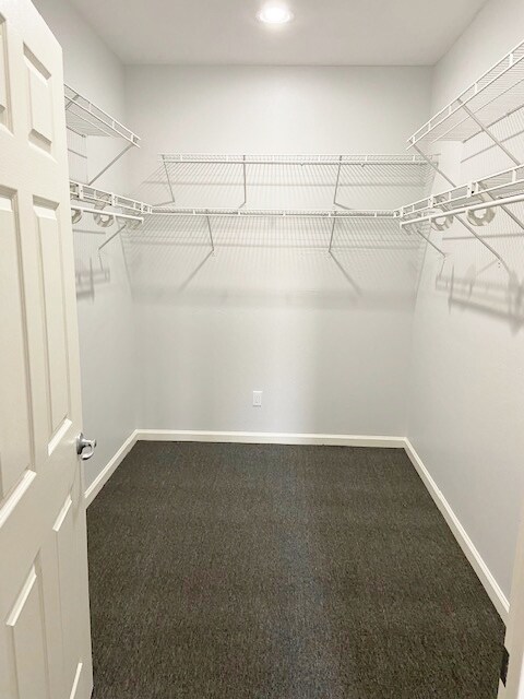 master walk in closet - 14000 N 94th St