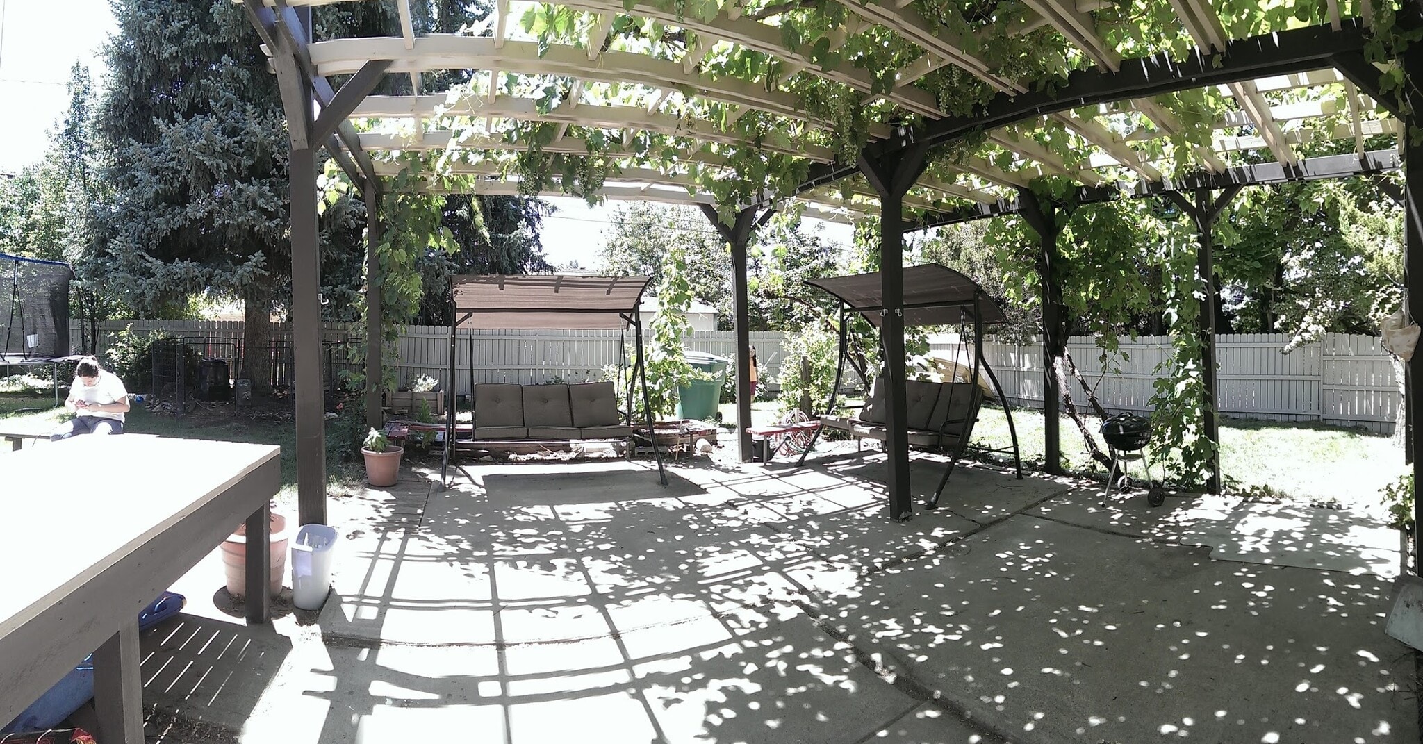 Grape arbor in back yard - 730 East 2780 North