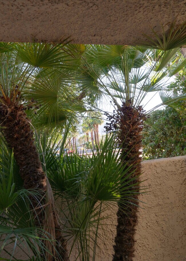 Building Photo - 2017 Normandy Ct