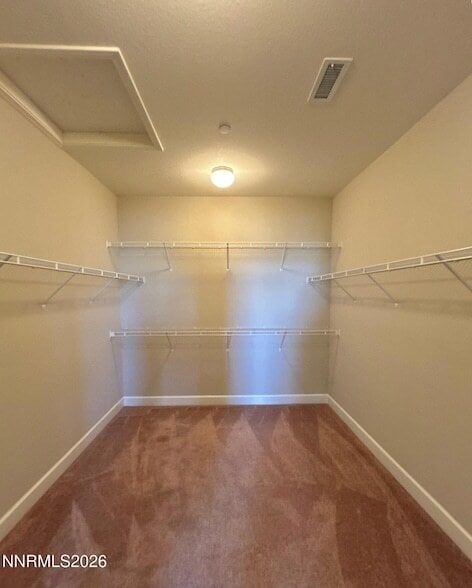 Building Photo - 3007 Brachetto Loop