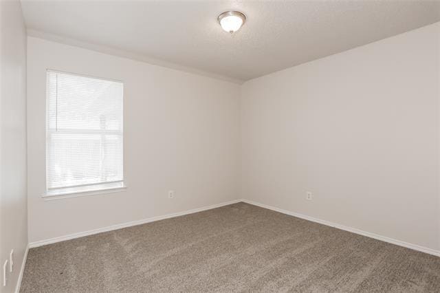 Building Photo - 213 Prairie Gulch Dr