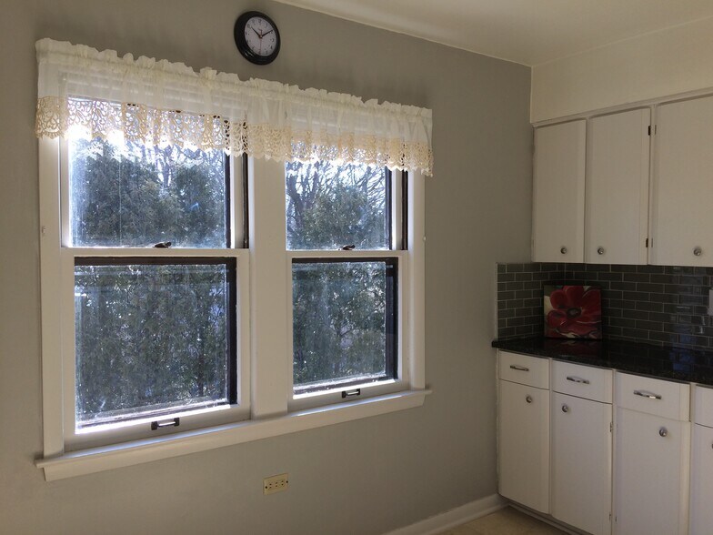 Kitchen, bright windows - 1041 S 96th St