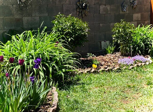 Building Photo - Southwest Luxury in the Heart of Cortez - Choose a Fully Furnished Studio or a Spacious Two Bedroom