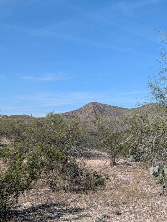 Building Photo - Renovated Townhouse with desert views.
