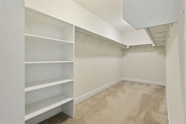 Building Photo - 1429 Freer Cove