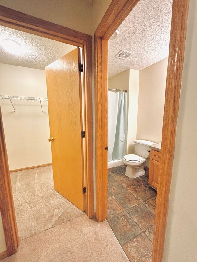 Building Photo - Spacious 3bed Townhome in Coon Rapids.  FI...