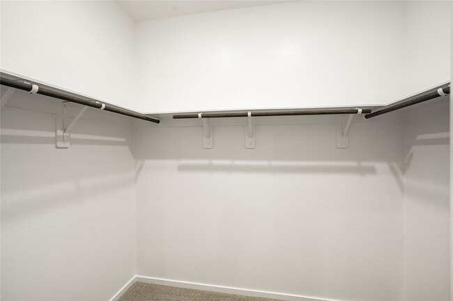 Building Photo - 3119 Quiet Sunset Dr