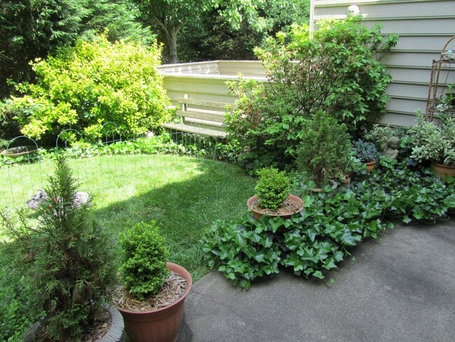 Building Photo - Lovely townhome in Forest Lakes South