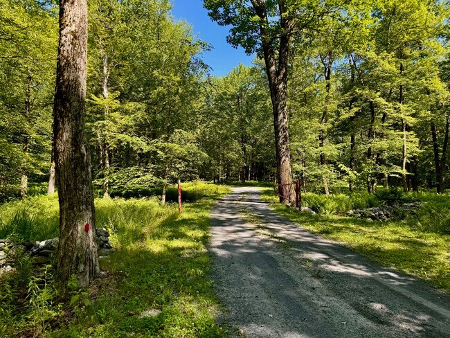 Building Photo - 66 Fiddlehead Ln