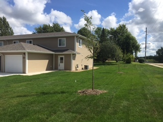 Building Photo - Wedgewood Cove Townhomes