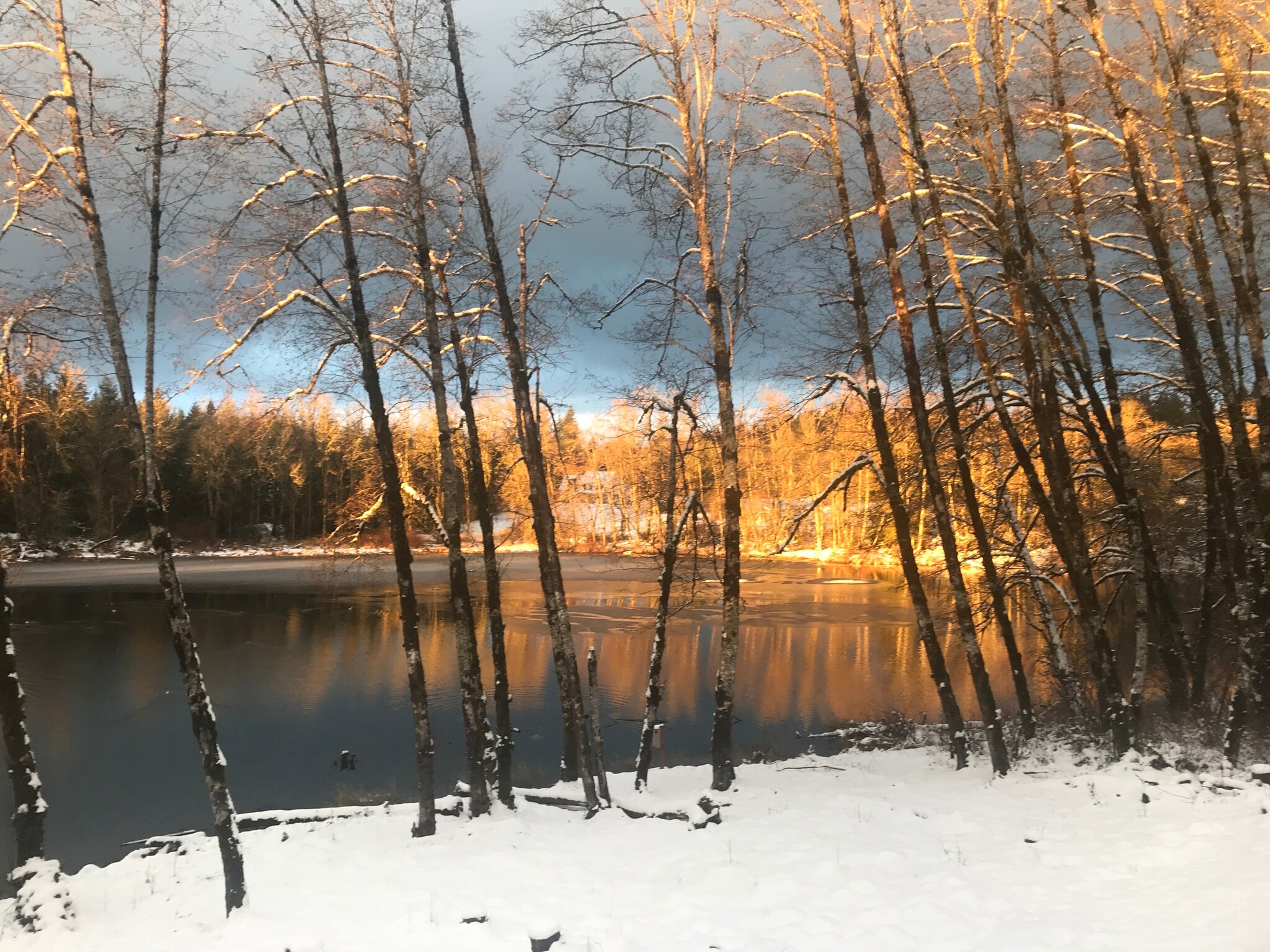 Building Photo - 15116 NE Grantham Rd