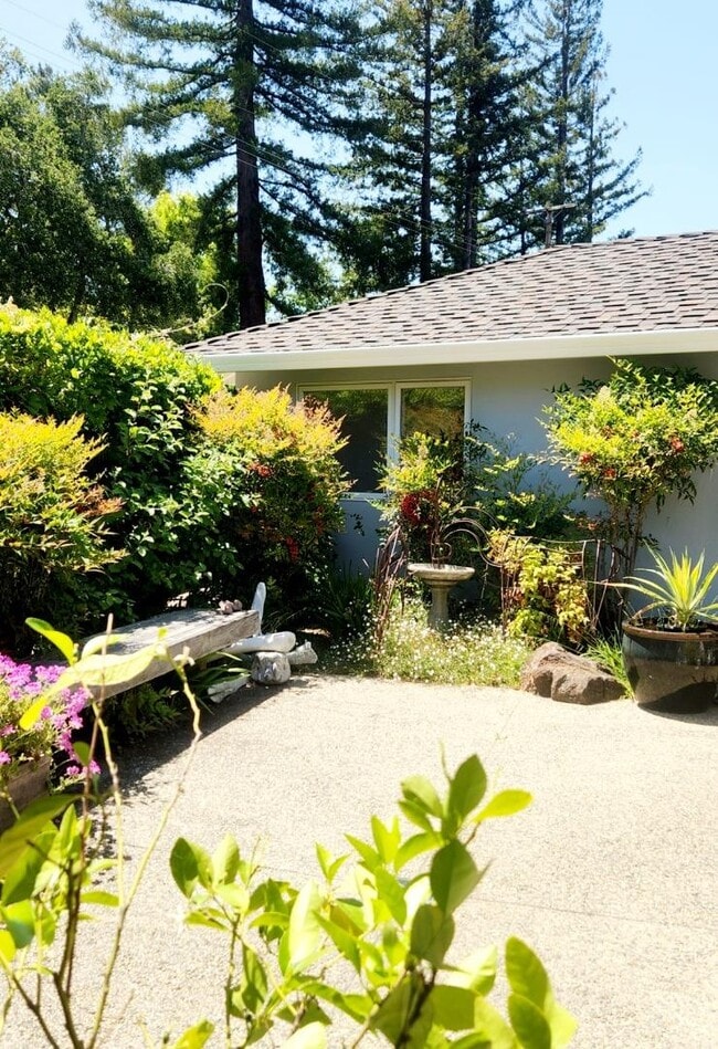 Building Photo - 287 Portola Rd