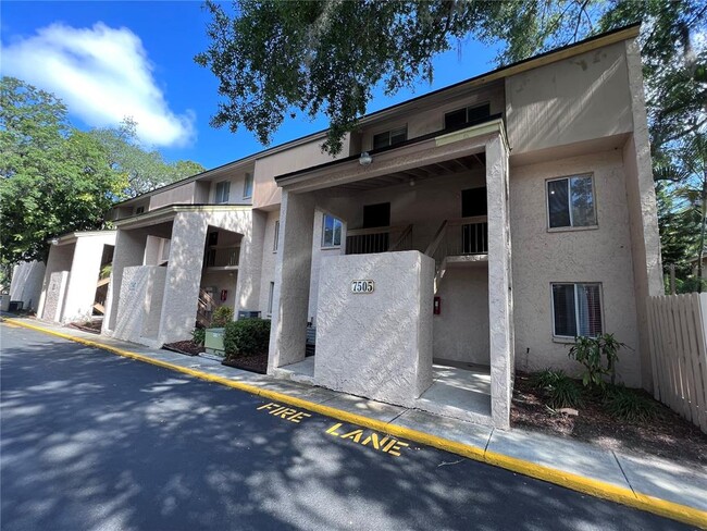 7505 Pitch Pine Cir - 7505 Pitch Pine Cir Tampa FL 33617 | Apartment Finder