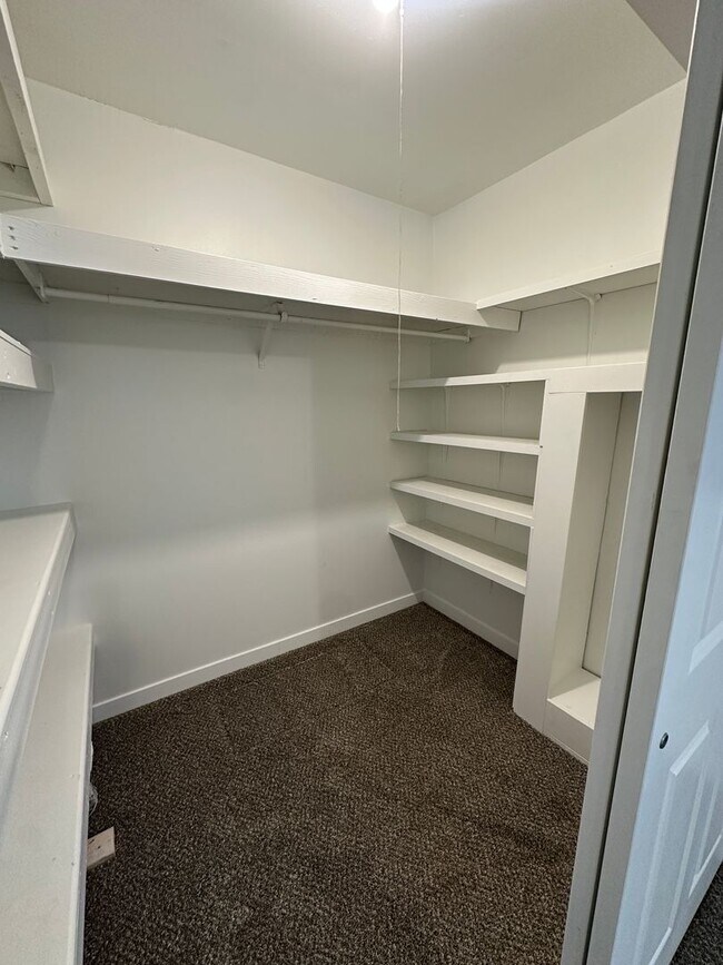 Building Photo - 3 Bed, 1 Bath Remodeled House in Goshen
