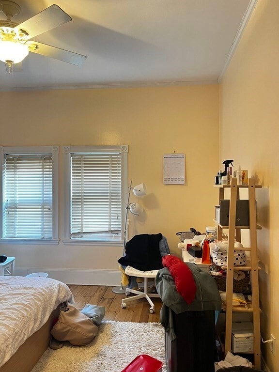 Building Photo - 31 Bay State Rd