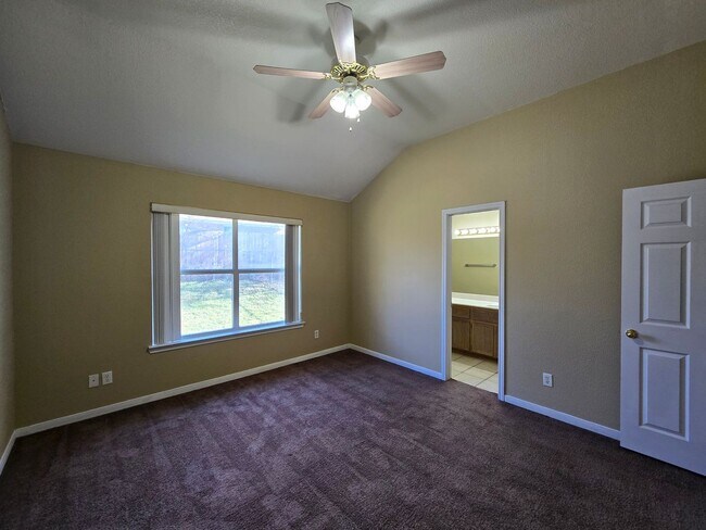 Building Photo - 3804 Littleleaf Ct