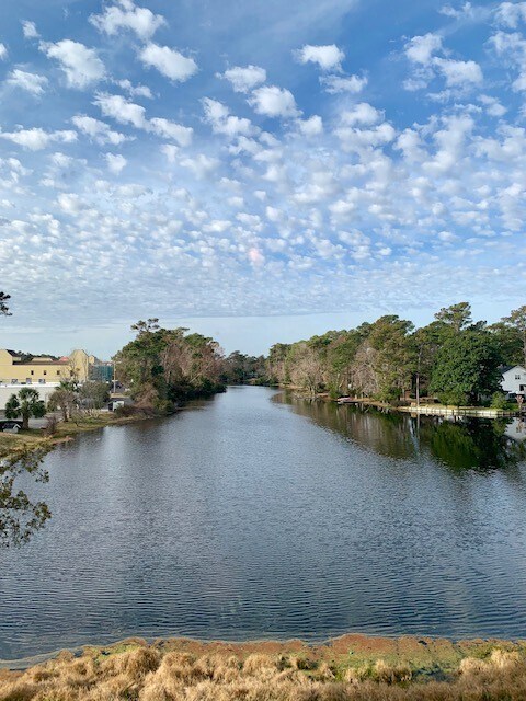 Building Photo - SPACIOUS 3 Bedroom/2.5 Bath in Brandywine. One of a kind & STEPS TO THE OCEAN. Community Pool!