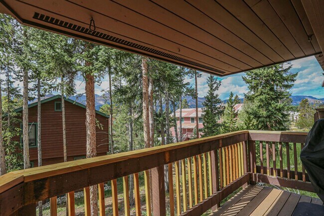 Building Photo - Updated Baldy Breckenridge Townhome! Summer lease! Dogs negotiable!
