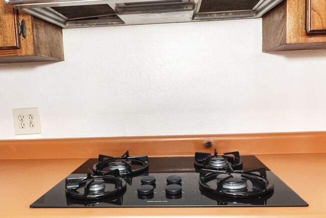 Building Photo - Scottsdale Rental Listing