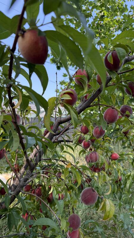 Building Photo - 23 Traction St